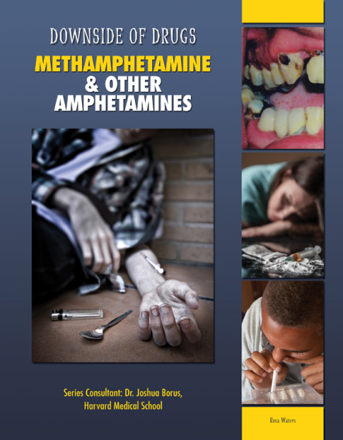 Cover image for book Methamphetamine & Other Amphetamines