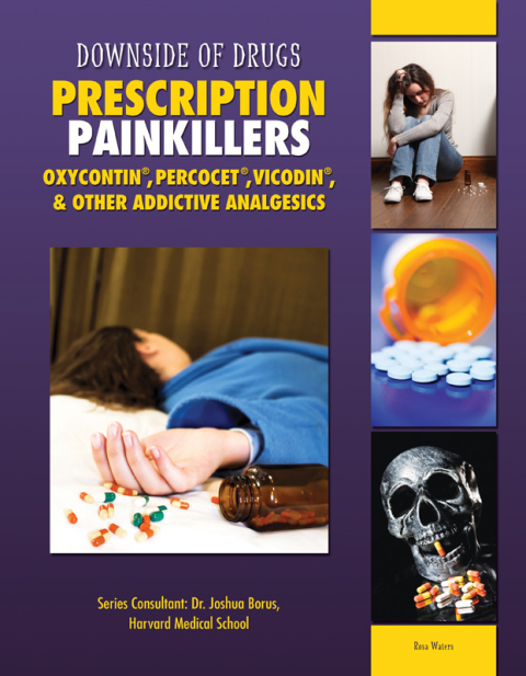 Cover image for book Prescription Painkillers