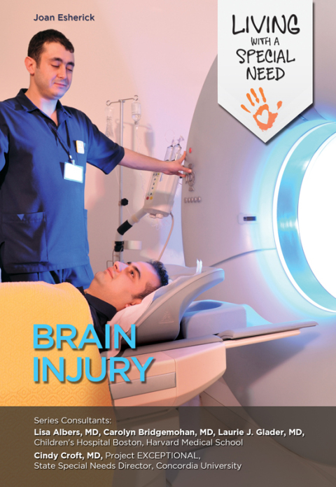 Cover image for book Brain Injury