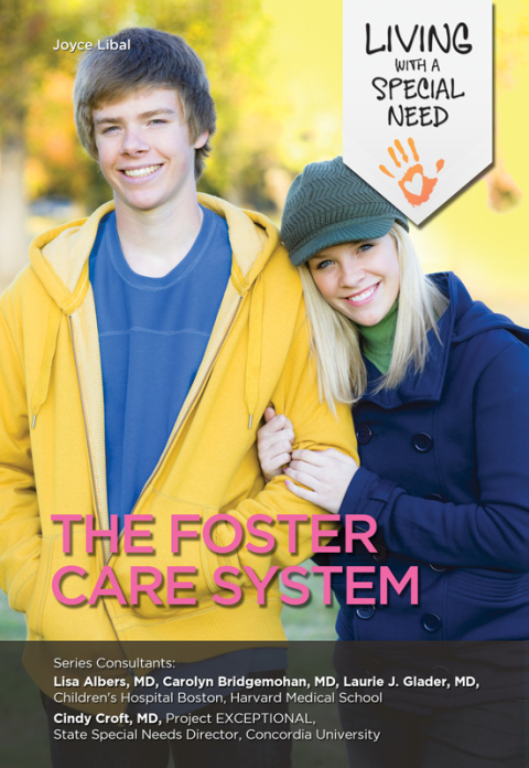 Cover image for book The Foster Care System