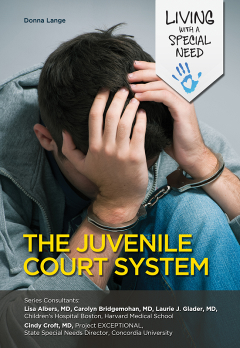 Cover image for book The Juvenile Court System