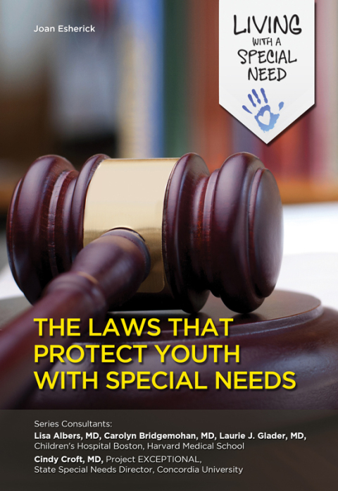 Cover image for book The Laws That Protect Youth with Special Needs