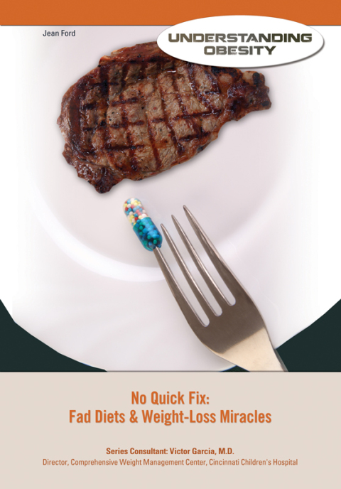 Cover image for book No Quick Fix