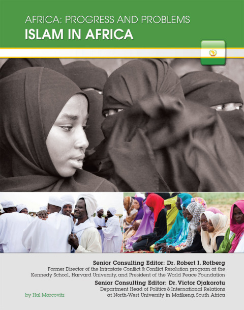 Cover image for book Islam in Africa