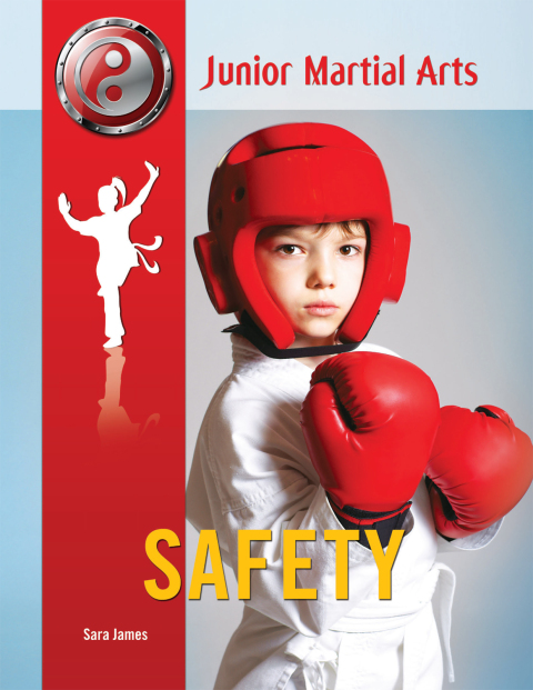 Cover image for book Safety