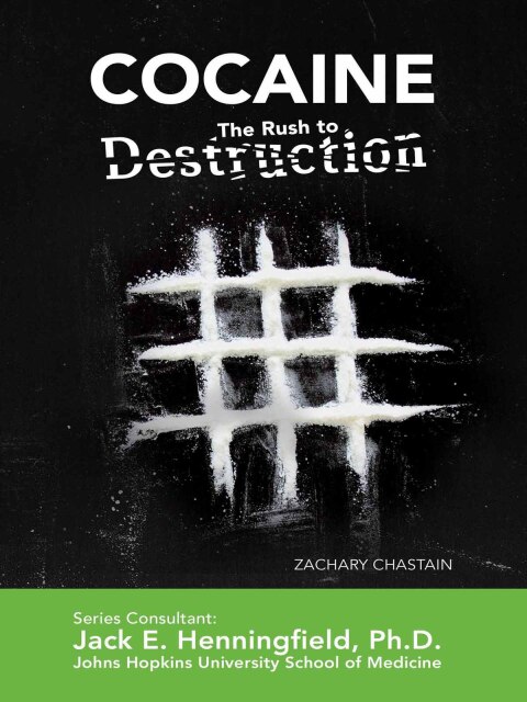 Cover image for book Cocaine: The Rush to Destruction