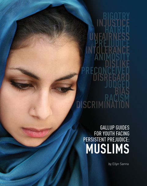 Cover image for book Gallup Guides for Youth Facing Persistent Prejudice