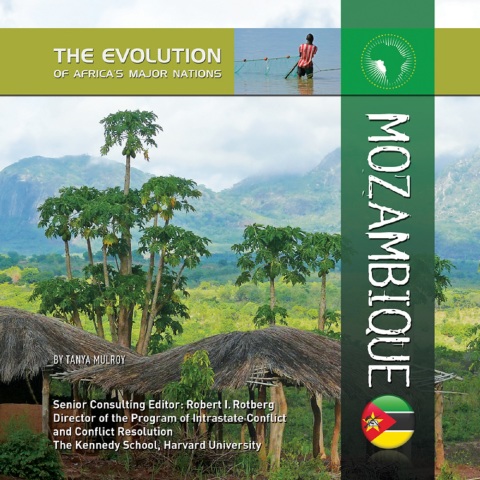 Cover image for book Mozambique
