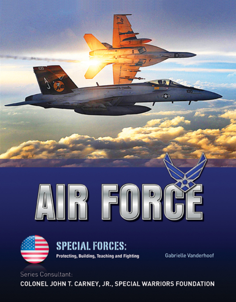 Cover image for book Air Force
