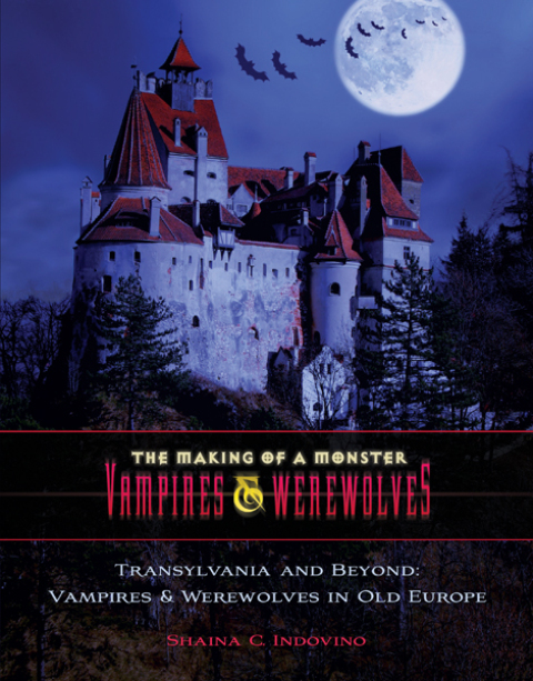 Cover image for book Transylvania and Beyond