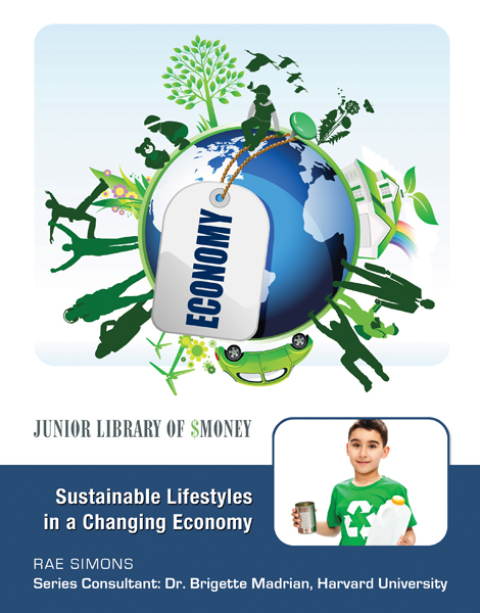 Cover image for book Sustainable Lifestyles in a Changing Economy