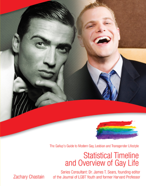 Cover image for book Statistical Timeline and Overview of Gay Life