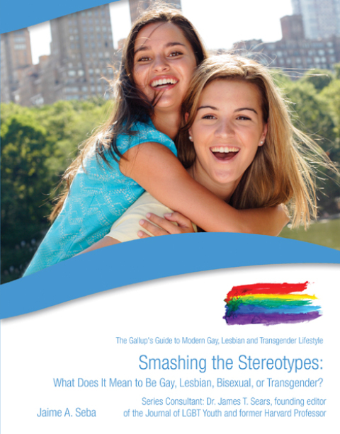 Cover image for book Smashing the Stereotypes