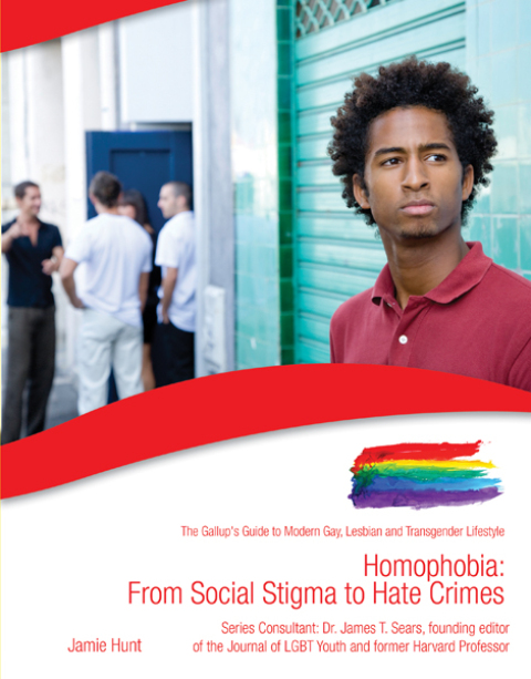 Cover image for book Homophobia