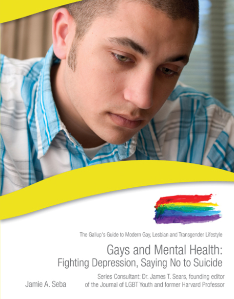 Cover image for book Gays and Mental Health