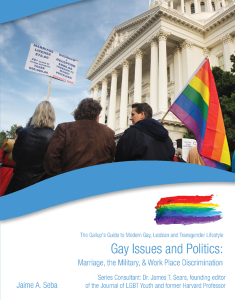 Cover image for book Gay Issues and Politics