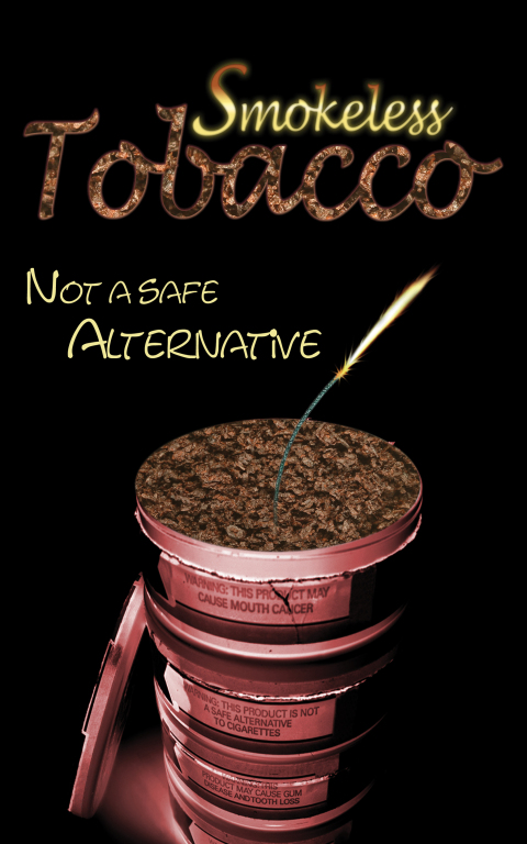 Cover image for book Smokeless Tobacco: Not a Safe Alternative