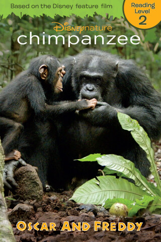 Chimpanzee: Oscar and Freddy