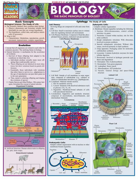 Cover image for book Biology 2