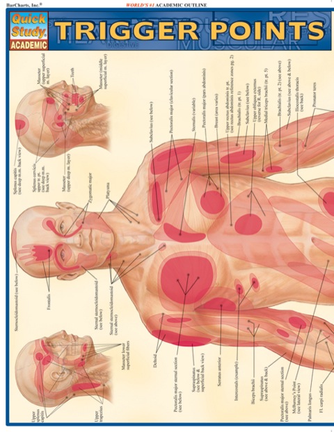 Cover image for book TRIGGER POINTS REFERENCE GUIDE
