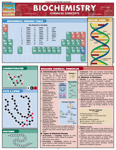 Cover image for book Bio Lab Basics