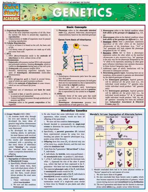 Genetics (Barcharts)
