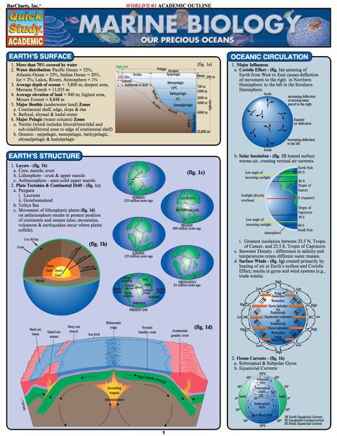 Cover image for book Marine Biology