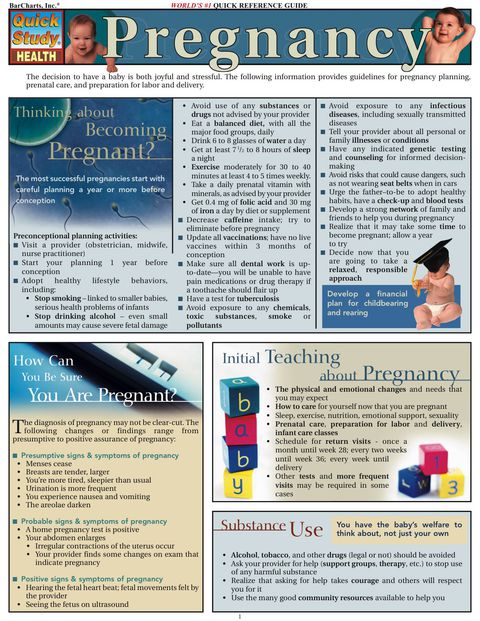 Cover image for book Pregnancy