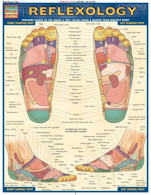 Cover image for book Reflexology