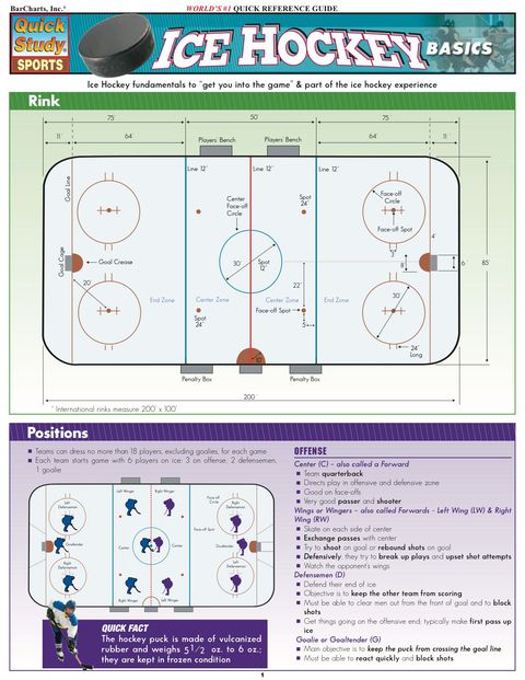 Cover image for book Ice Hockey Basics