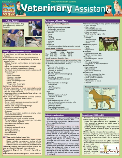 Cover image for book VETERINARY ASSISTANT  STUDY GUIDE