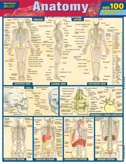 Cover image for book ANATOMY QUIZZER