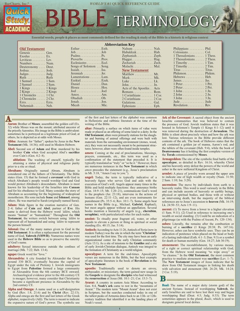 Cover image for book QUICKSTUDY-BIBLE TERMINOLOGY