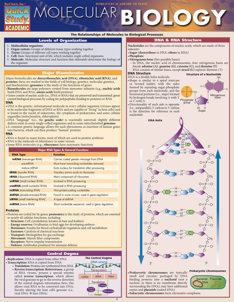 Cover image for book Molecular Biology