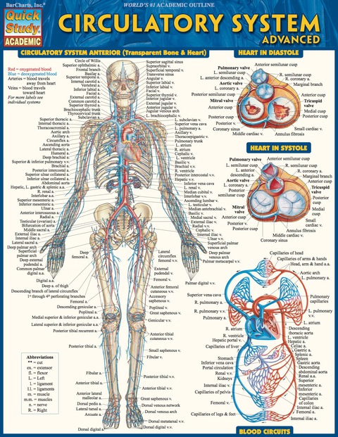 Cover image for book QUICKSTUDY-CIRCULATORY SYSTEM ADVANCED