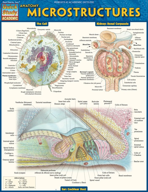 Cover image for book Anatomy Microstructures