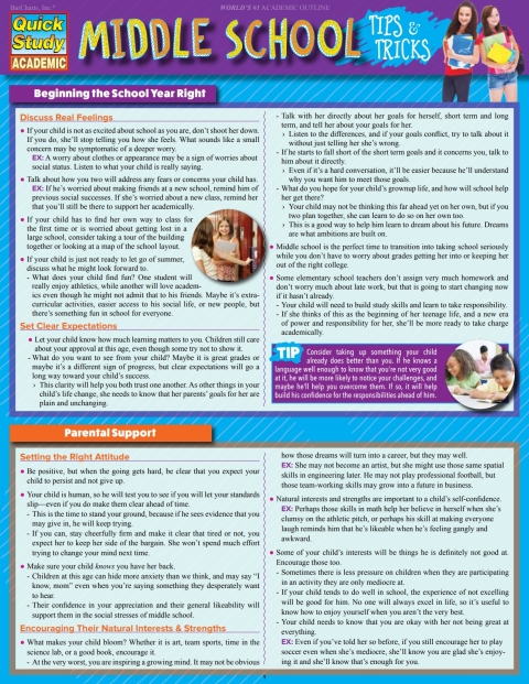 Cover image for book Middle School Tips & Tricks