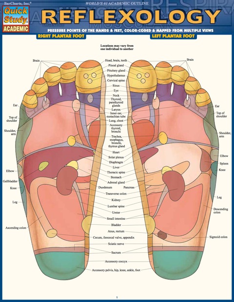 Cover image for book Reflexology