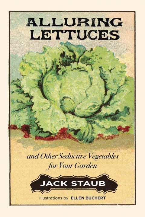 Cover image for book Alluring Lettuces