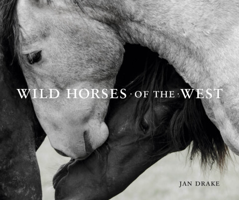 Cover image for book Wild Horses of the West
