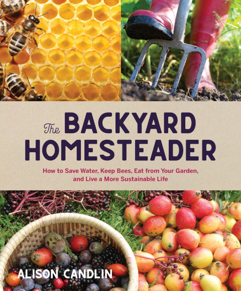 Cover image for book The Backyard Homesteader