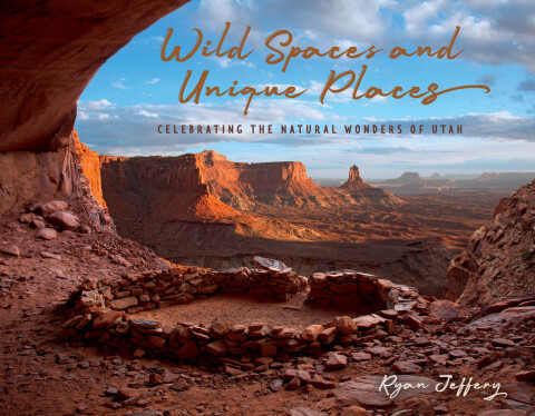 Cover image for book Wild Spaces and Unique Places