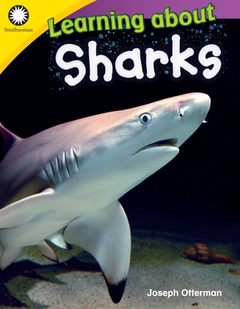 Cover image for book Learning about Sharks