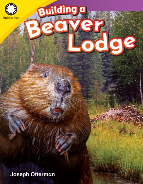 Cover image for book Building a Beaver Lodge
