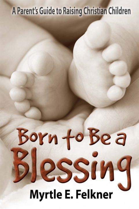 Cover image for book Born to Be a Blessing