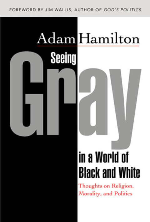 Cover image for book Seeing Gray in a World of Black and White  35012