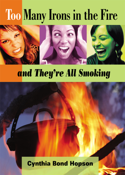 Cover image for book Too Many Irons in the Fire