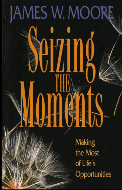 Cover image for book Seizing the Moments