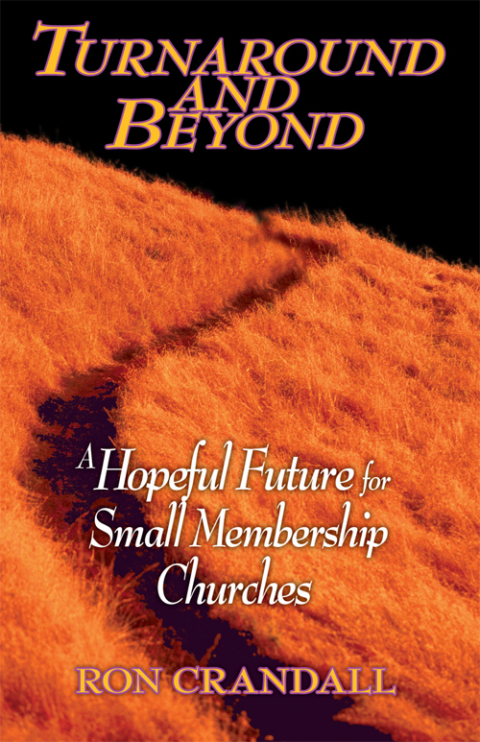 Cover image for book Turnaround and Beyond
