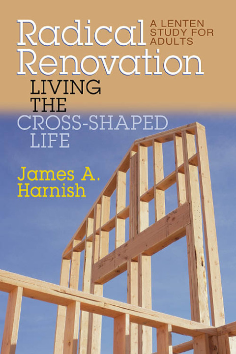 Cover image for book Radical Renovation - eBook [ePub]